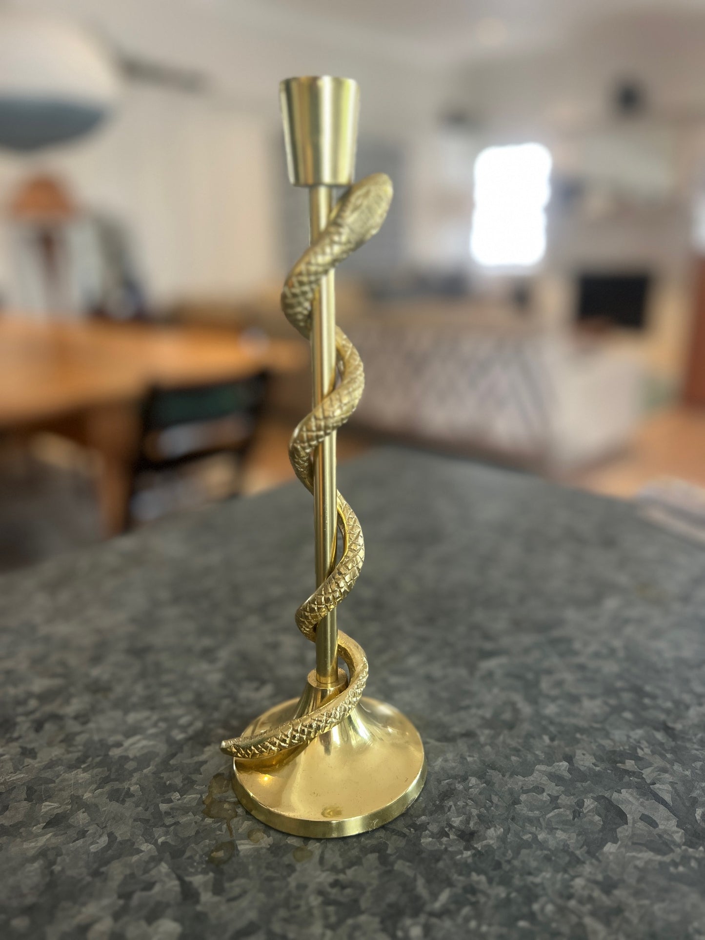 Serpent candle holder