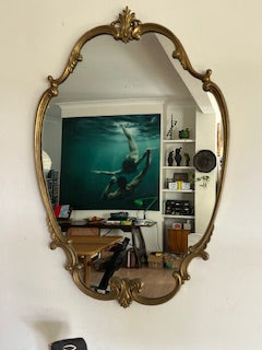 Gilded Shield Mirror